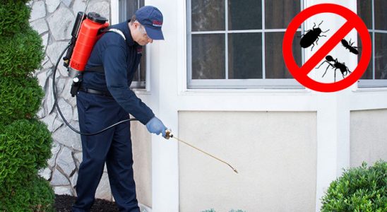 Çatalca Böcek İlaçlama böcek ilaçlama ve haşere kontrolü — ilaclama-tr.com